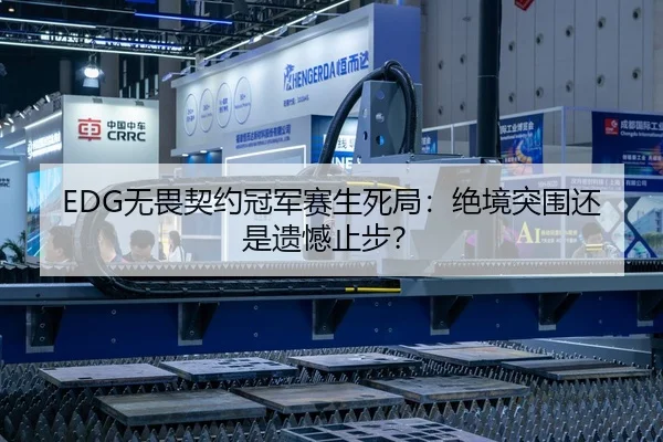 EDG无畏契约冠军赛生死局：绝境突围还是遗憾止步？