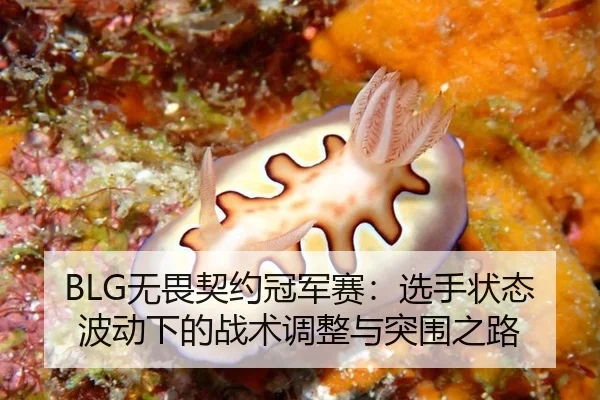 wu-wei-qi-yue-guan-jun-sai-xuan-shou-zhuang-tai-bo-dong-xia-de-zhan-shu-tiao-zheng-yu-tu-wei-zhi-lu-2-930.jpg