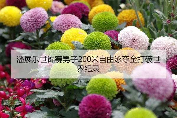 潘展乐世锦赛男子200米自由泳夺金打破世界纪录