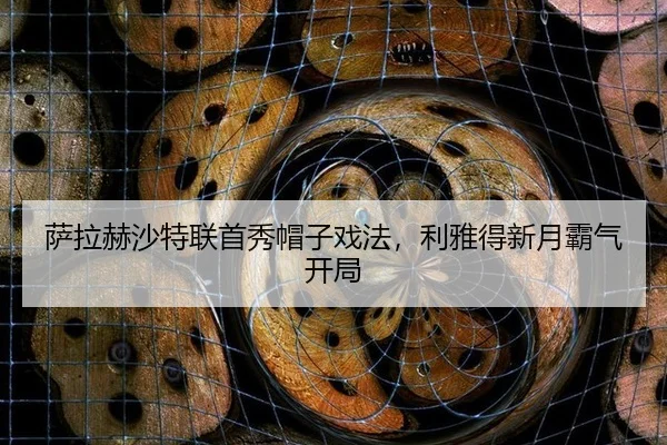 sa-la-he-sha-te-lian-shou-xiu-mao-zi-xi-fa-li-ya-de-xin-yue-ba-qi-kai-ju-3-411.jpg