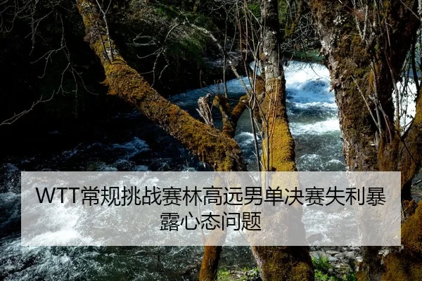 WTT常规挑战赛林高远男单决赛失利暴露心态问题
